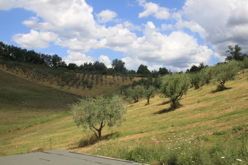 Agriturismo Le Buche Di Viesca レッジェッロ エクステリア 写真